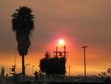 Name:  lob.sun.jpg
Views: 635
Size:  11.2 KB