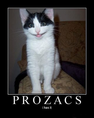 Name:  Prozac.jpg
Views: 262
Size:  19.4 KB