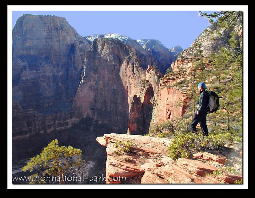 Name:  zion-national-park-b_jpg.jpg
Views: 280
Size:  110.7 KB