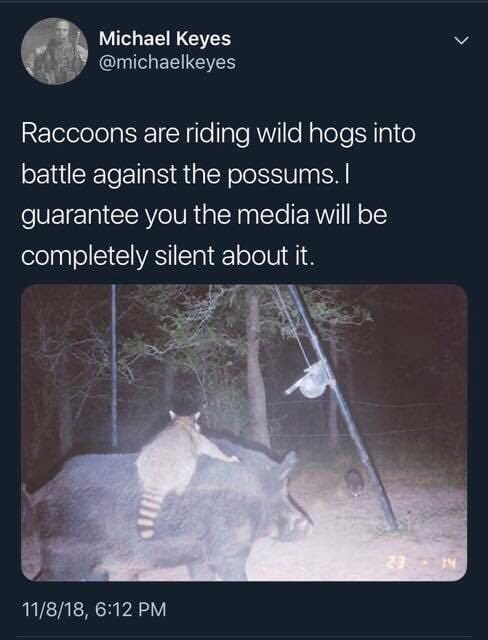 Name:  racoons possums.jpg
Views: 316
Size:  39.6 KB