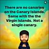 Click image for larger version

Name:	canary.jpg
Views:	94
Size:	26.1 KB
ID:	19677