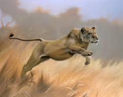 Name:  lioness.jpg
Views: 221
Size:  6.4 KB