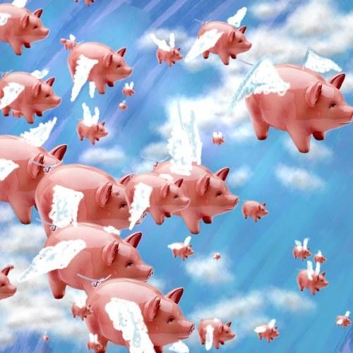 Name:  pigs_flying.jpg
Views: 290
Size:  38.8 KB